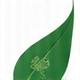 Leaf icon representing sustainability